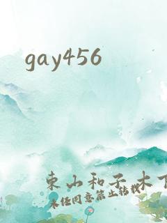 gay456