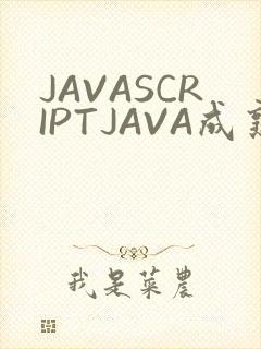 JAVASCRIPTJAVA成熟亲子