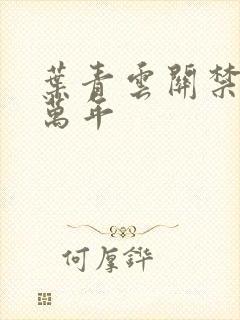 叶青云关禁闭一万年