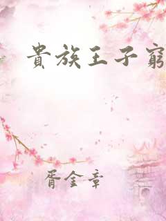 贵族王子穷公主