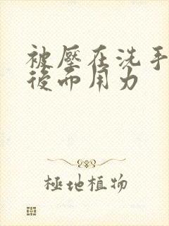 被压在洗手台从后面用力