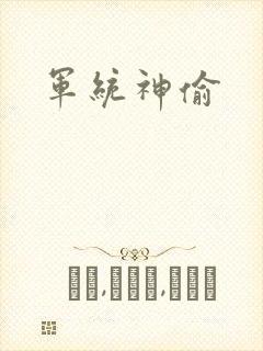 军统神偷