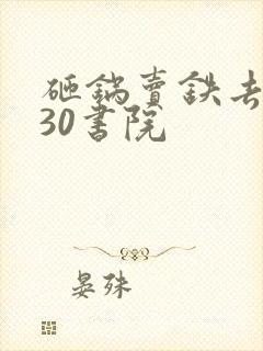 砸锅卖铁去上学30书院