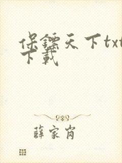 保镖天下txt下载