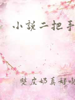 小说二把手