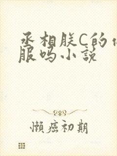 丞相朕C的你舒服吗小说