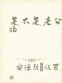 是不是老公的小sb