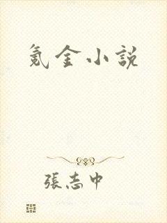 氪金小说