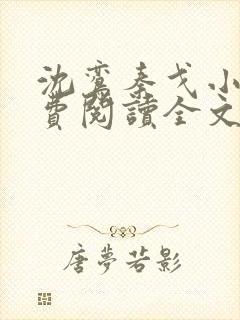 沈鸾秦戈小说免费阅读全文