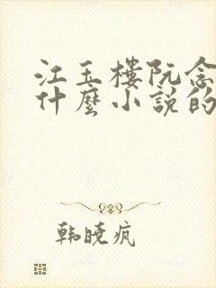 江玉楼阮念笙是什么小说的名字