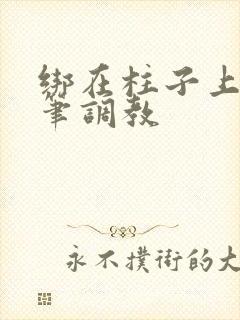 绑在柱子上用毛笔调教