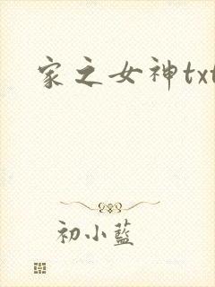 家之女神txt