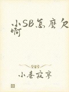 小SB怎么欠C啊