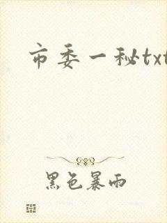 市委一秘txt
