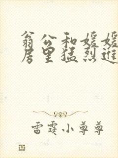 翁公和媛媛在厨房里猛烈进出