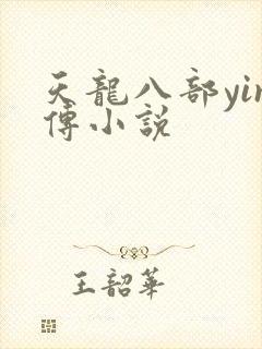 天龙八部yin传小说