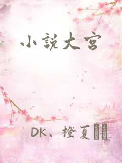 小说大宫