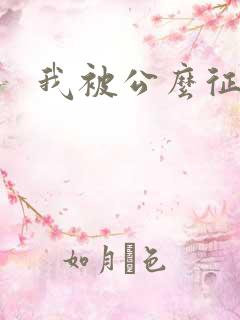 我被公么征服了