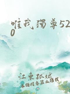 唯我独尊5200