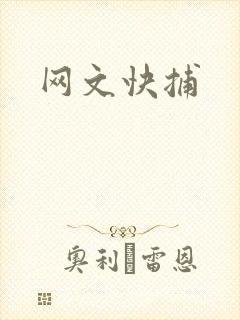 网文快捕