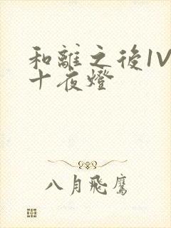 和离之后1V1十夜灯