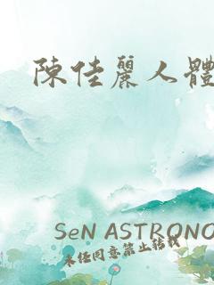 陈佳丽人体