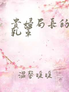 贵妇局长的蕾丝乳罩