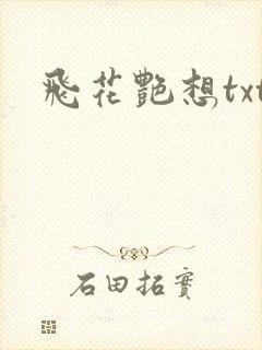 飞花艳想txt