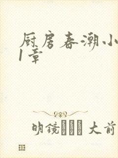 厨房春潮小说第1章