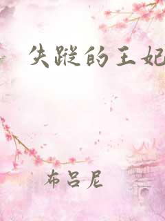 失踪的王妃