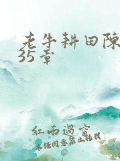 老牛耕田陈雪435章