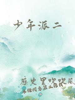 少年派二