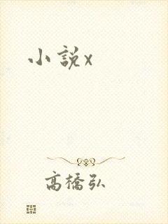 小说x