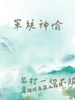 军统神偷