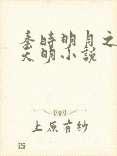 秦时明月之夜尽天明小说