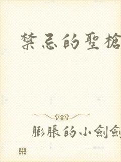 禁忌的圣枪
