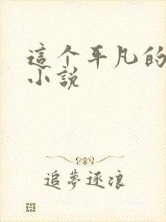 这个平凡的男子小说