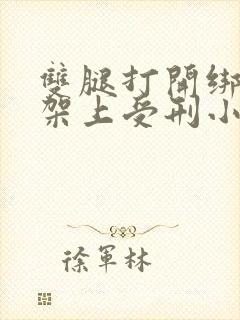 双腿打开绑在刑架上受刑小说