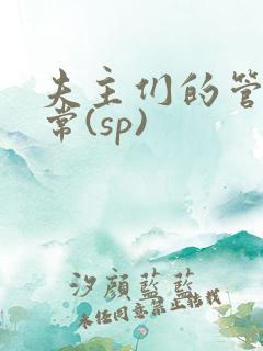 夫主们的管教日常(sp)