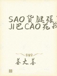 SAO货腿张开JI巴CAO死我