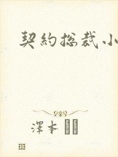 契约总裁小萌宝