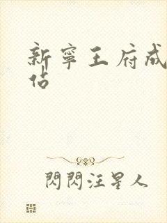 新宁王府成人网站