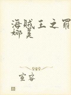 海贼王之罗宾h娜美