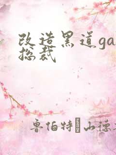 改造黑道gay总裁