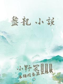 盘龙 小说