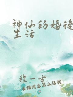 神仙的婚后都市生活