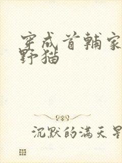 穿成首辅家的小野猫