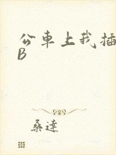 公车上我插上骚B