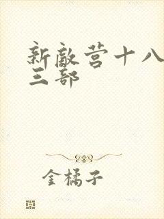 新敌营十八年第三部