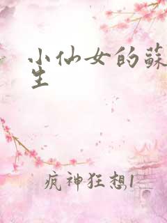 小仙女的苏撩先生